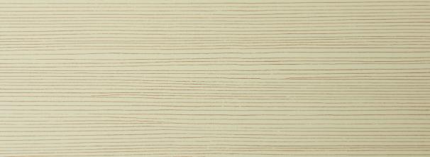 White Spruce