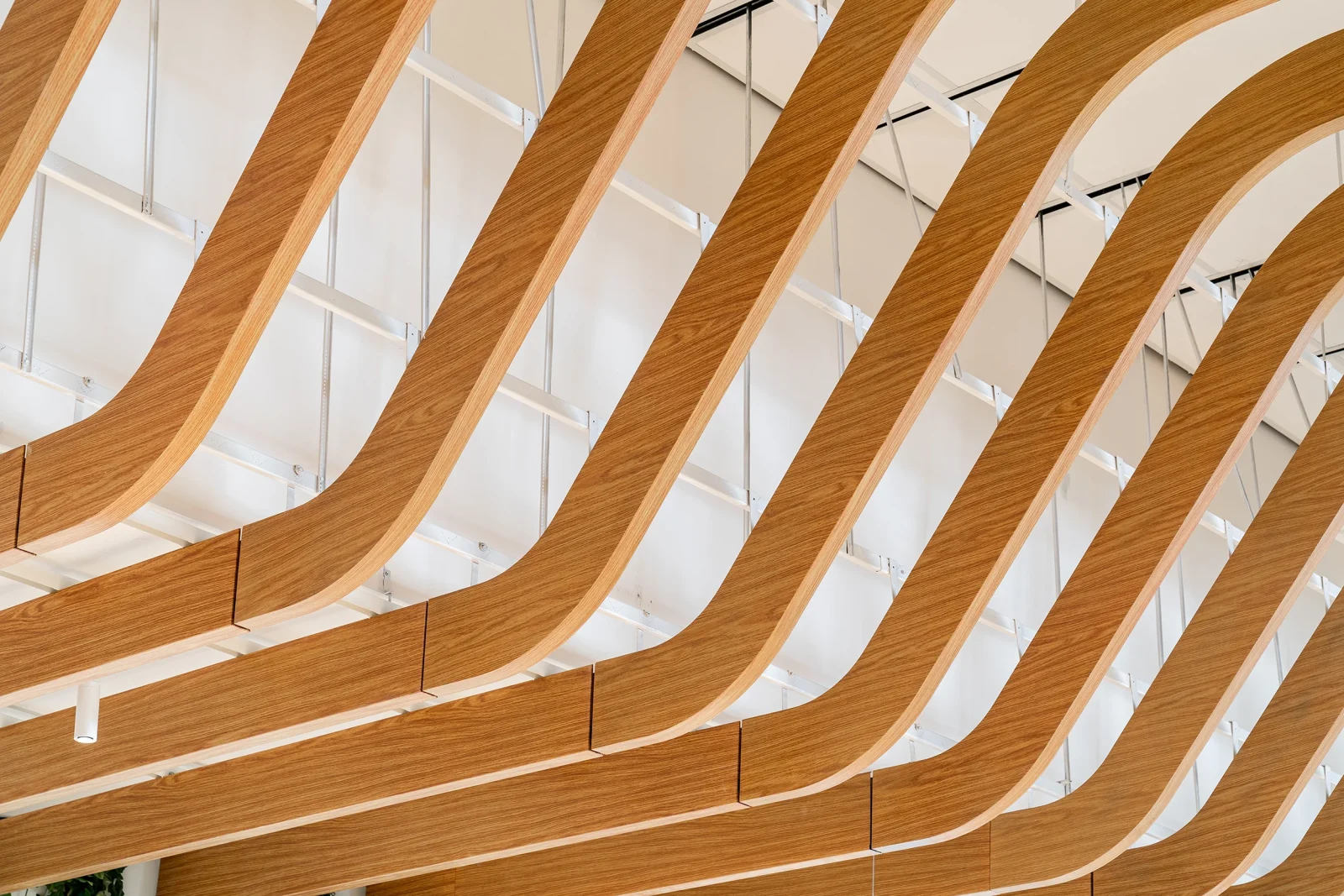 Curved linear profiles