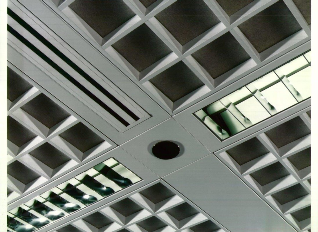 Sas800 Trucell Open Cell Ceiling