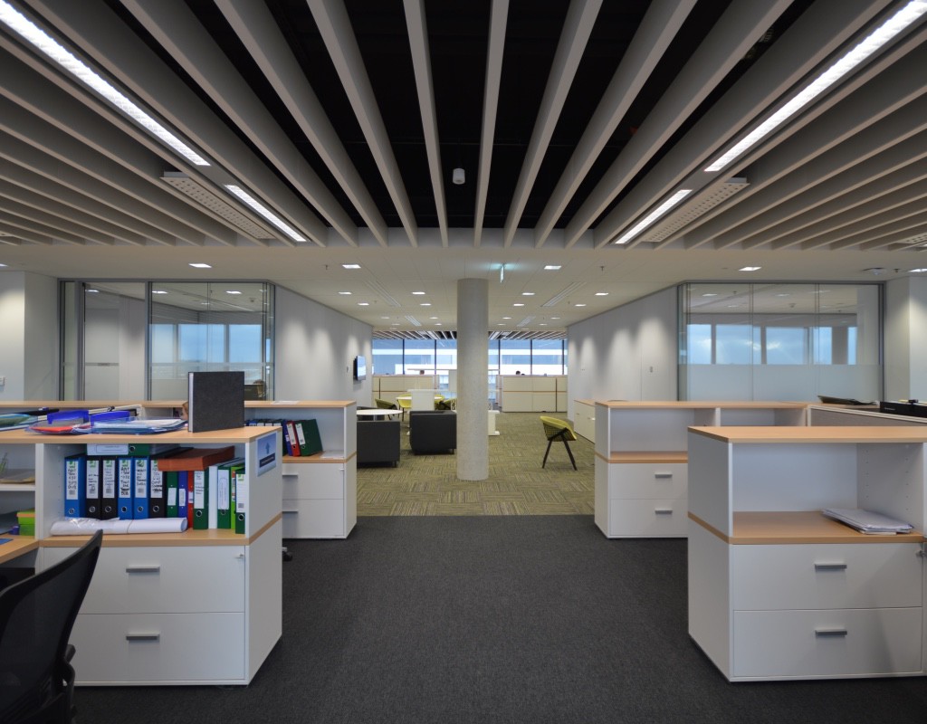 Alex-sml-500-com (11).jpg