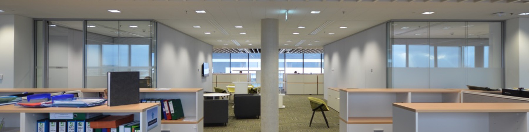 Alex-sml-500-com (11).jpg