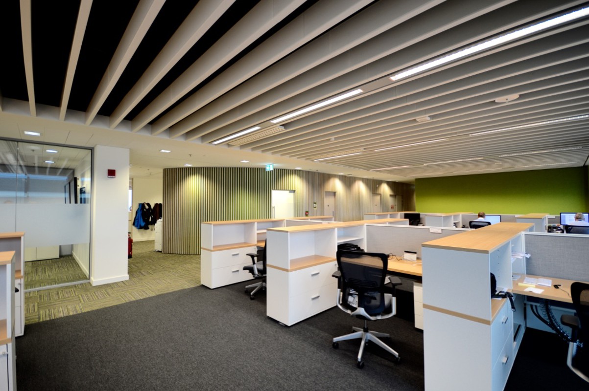 Alex-sml-500-com (16).jpg