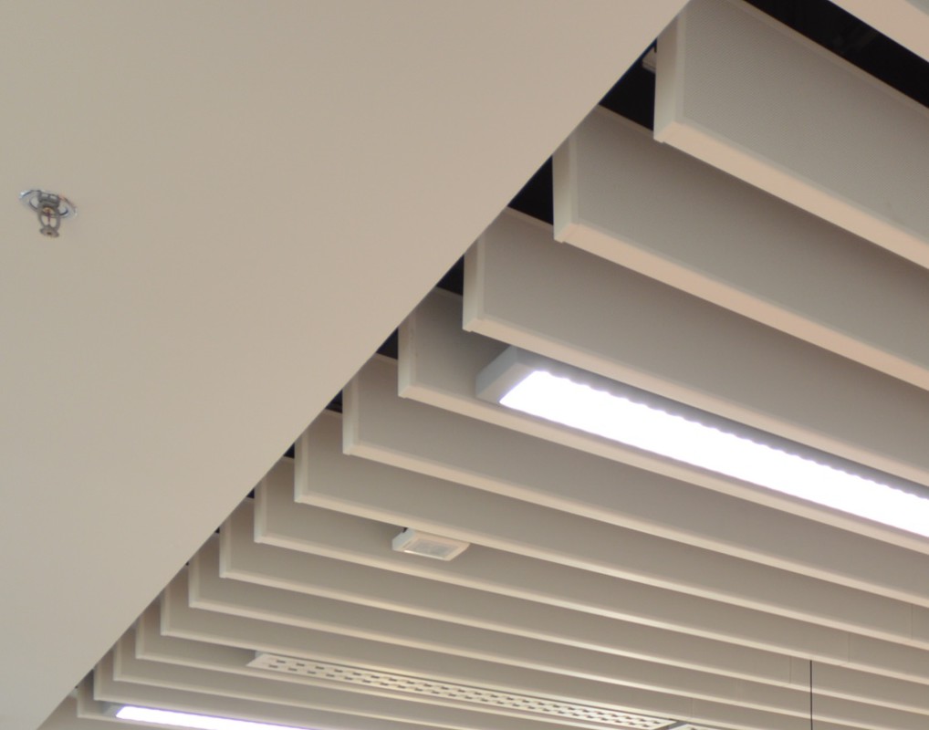 Alex-sml-500-com (3).jpg