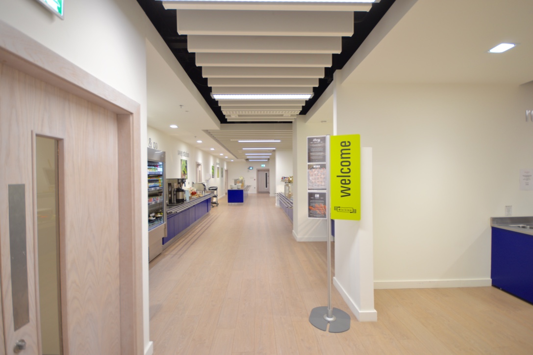 Alex-sml-500-com (9).jpg