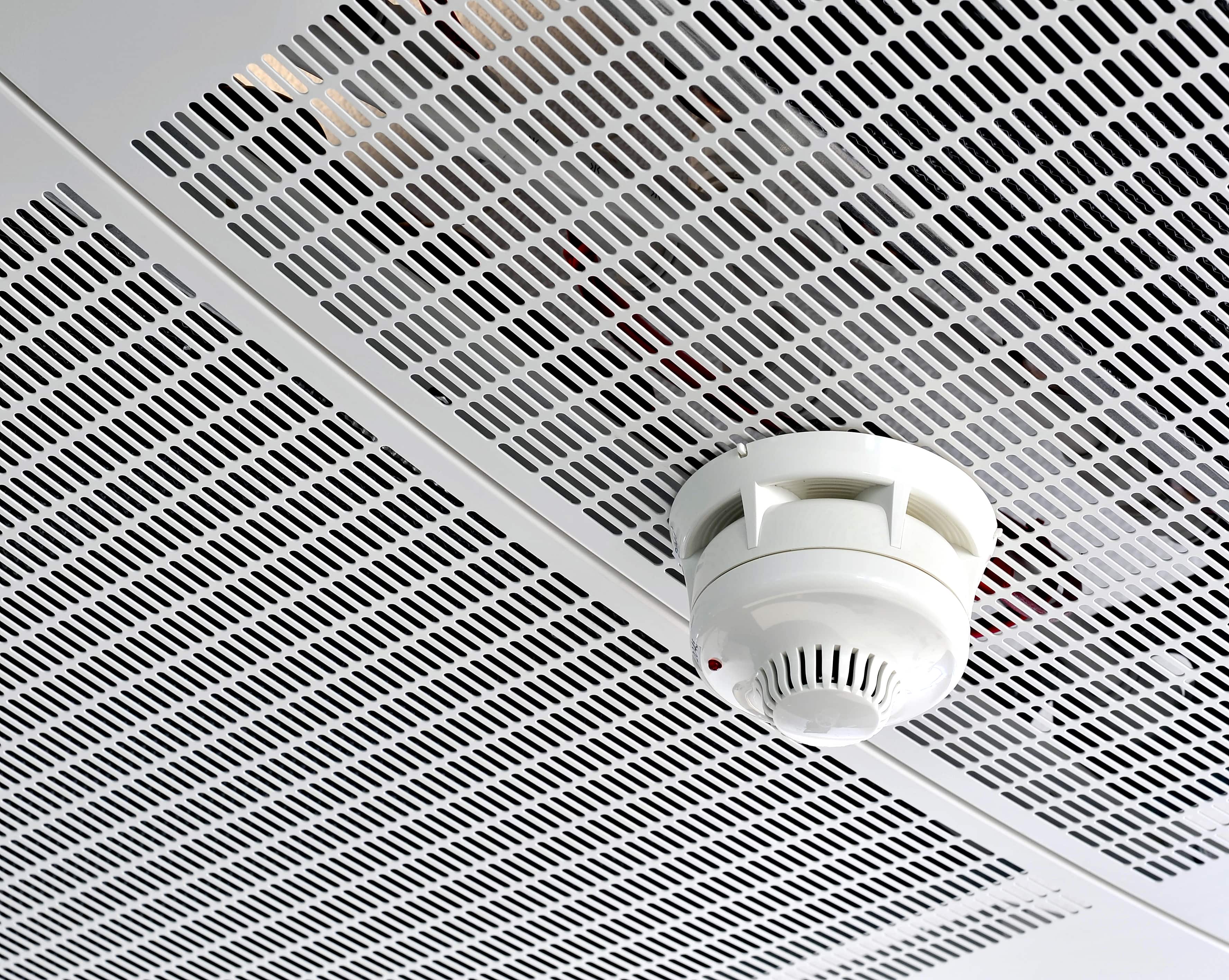 QCDA_COM_ISM_018-© Philip Vile-min.jpg