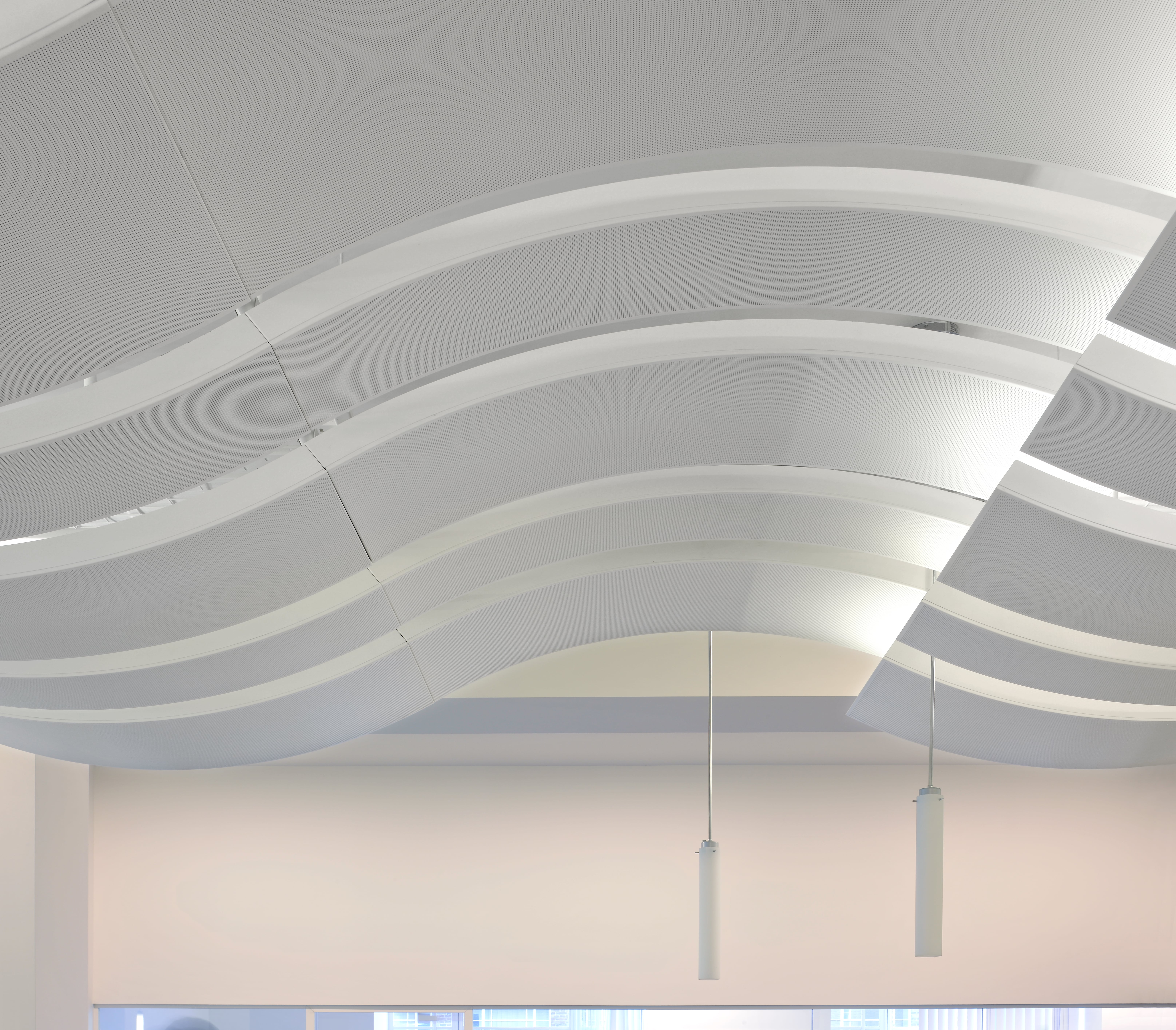 bms-edu-wav-002 ©Philip Vile-min.jpg