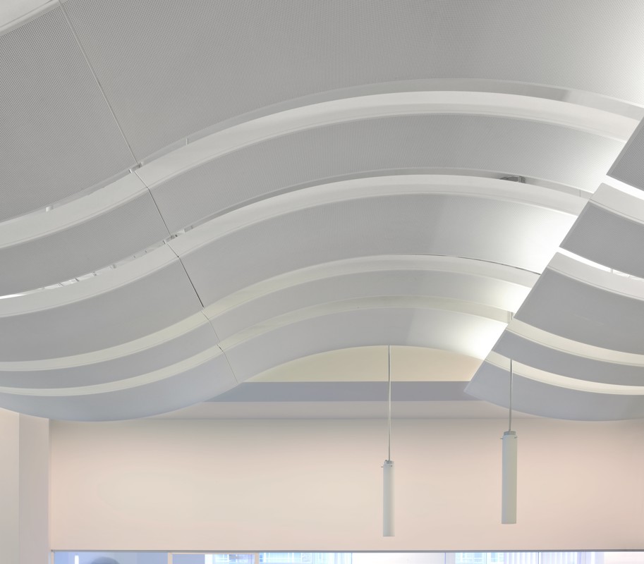 bms-edu-wav-002 ©Philip Vile-min.jpg