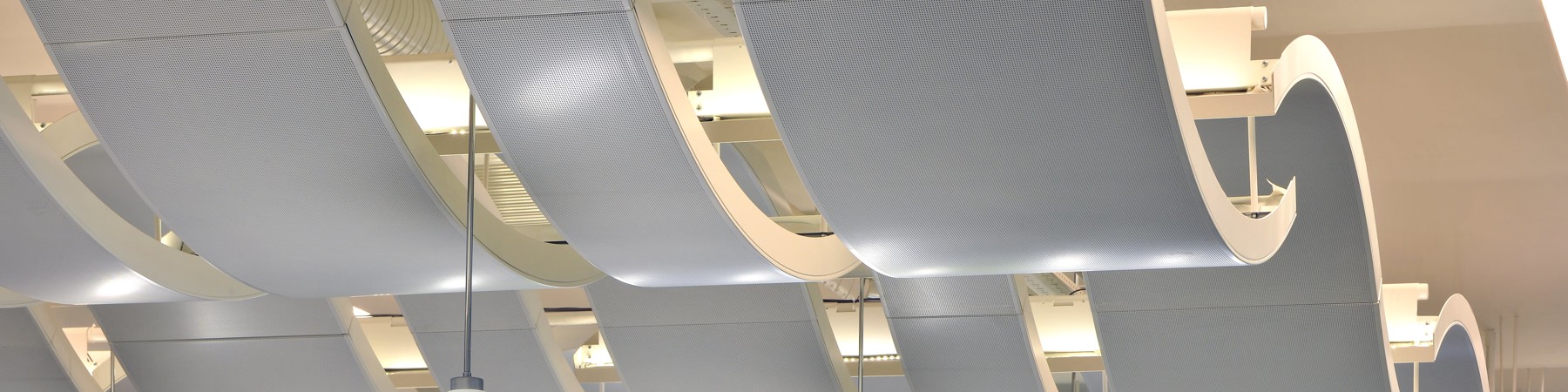 bms-edu-wav-006 ©Philip Vile-min.jpg