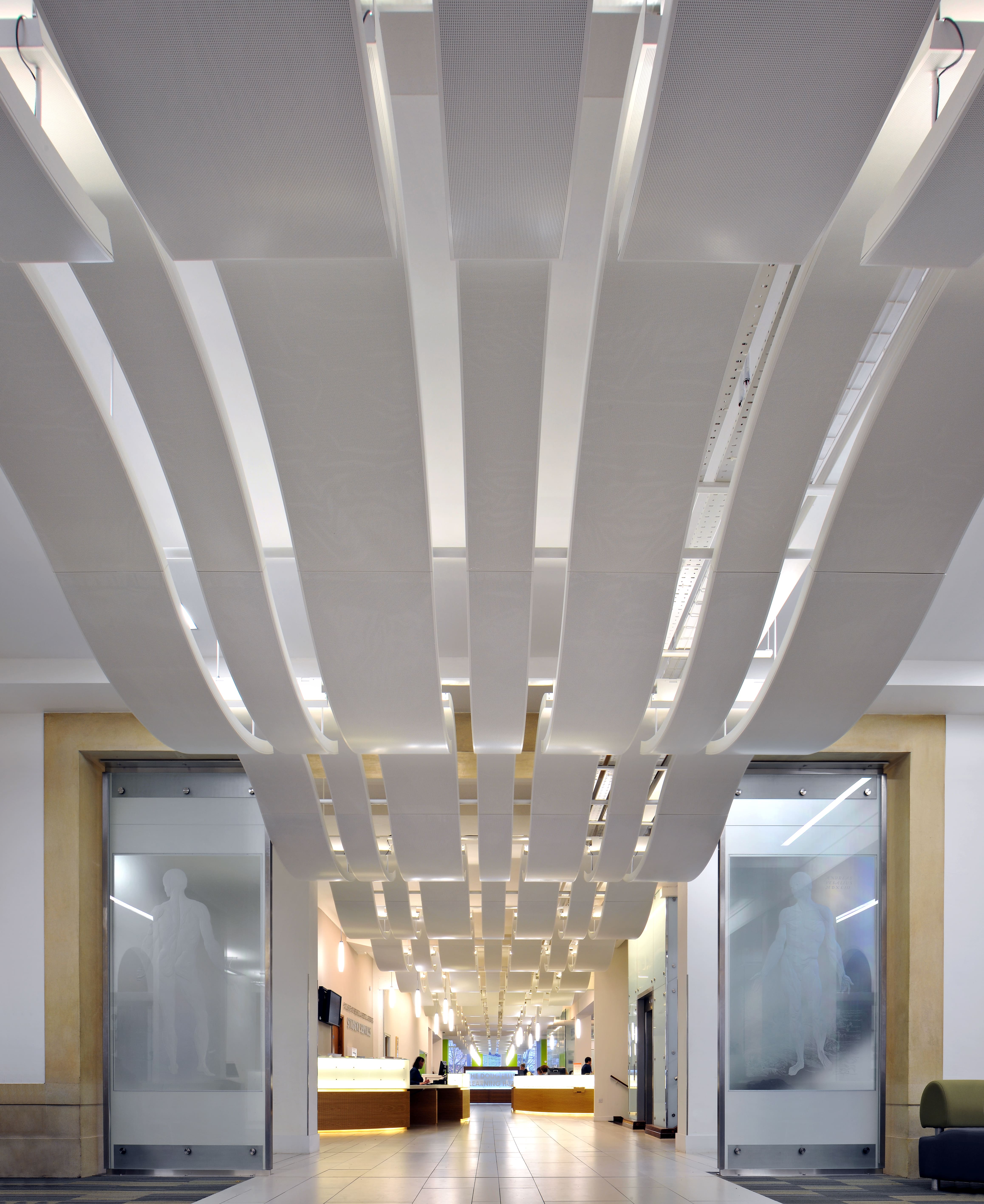 bms-edu-wav-011 ©Philip Vile-min.jpg