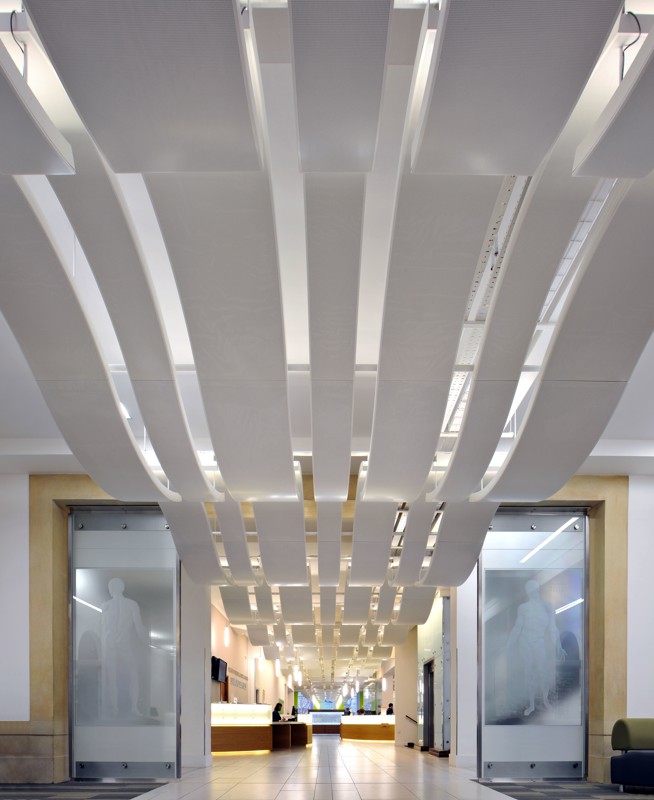 bms-edu-wav-011 ©Philip Vile-min.jpg