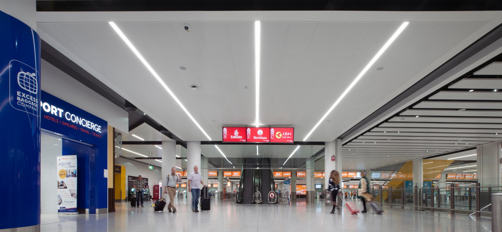 gat-med-600-tra (5).jpg