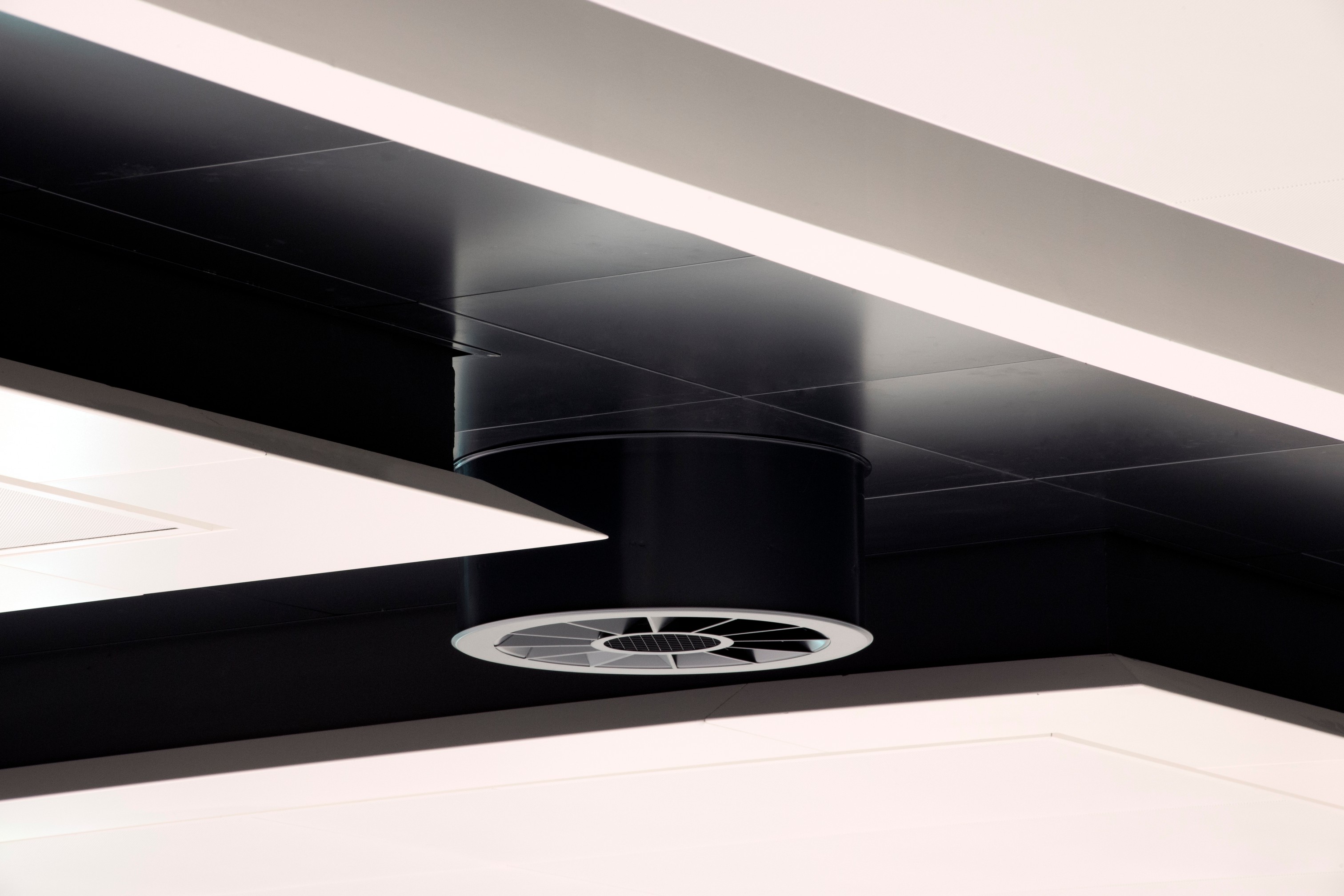 gat-med-600-tra (13).jpg