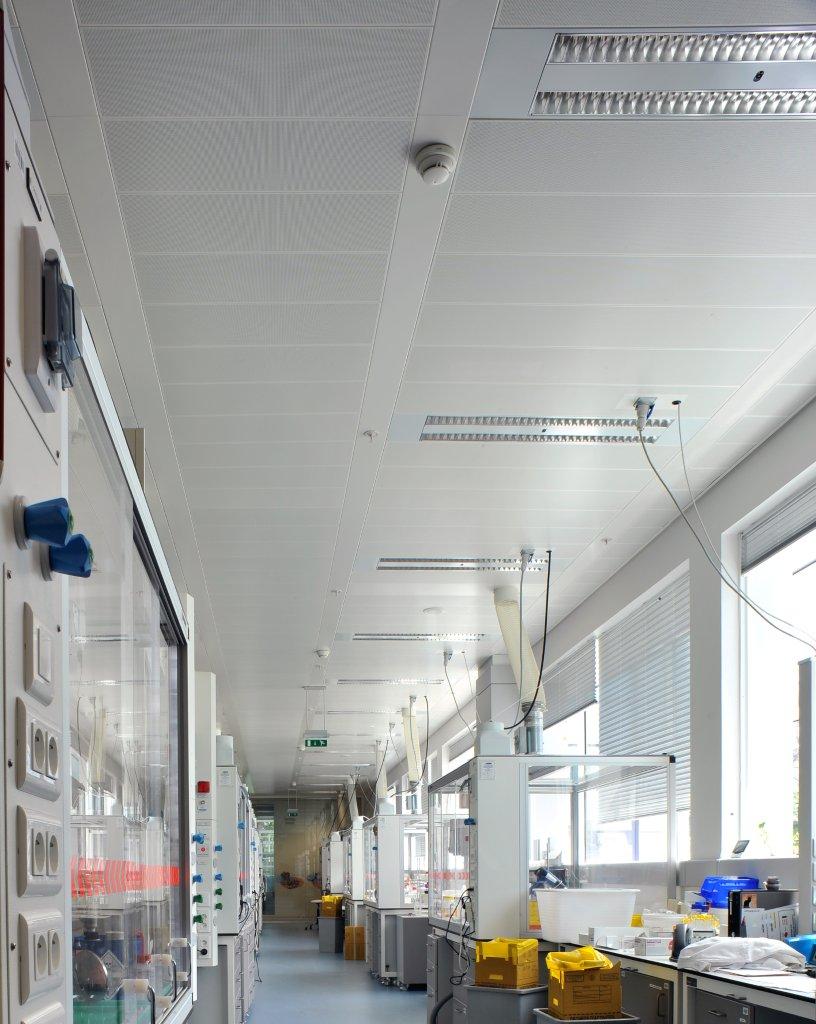 gsk-com-330p-02© Philip Vile.jpg