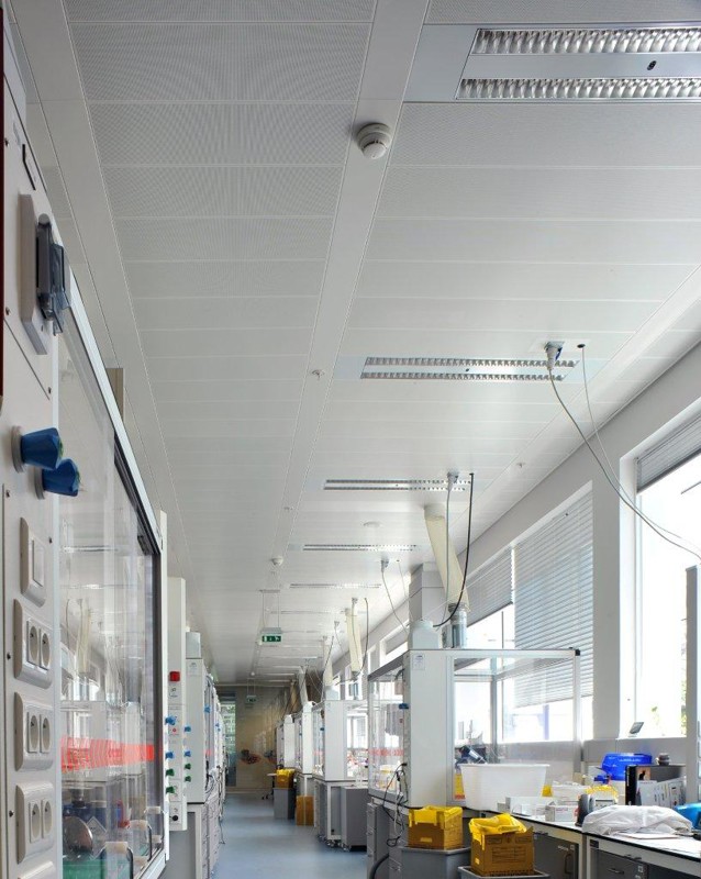 gsk-com-330p-02© Philip Vile.jpg