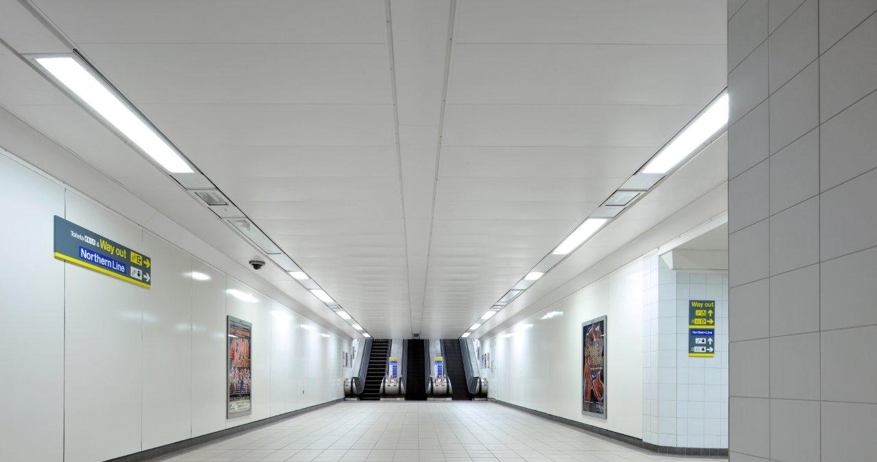 Livc-sml-Am-tra (21).jpg