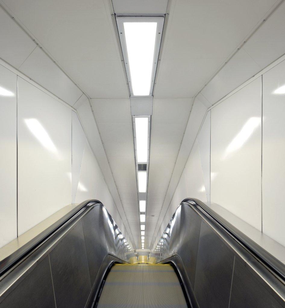 Livc-sml-Am-tra (27).jpg