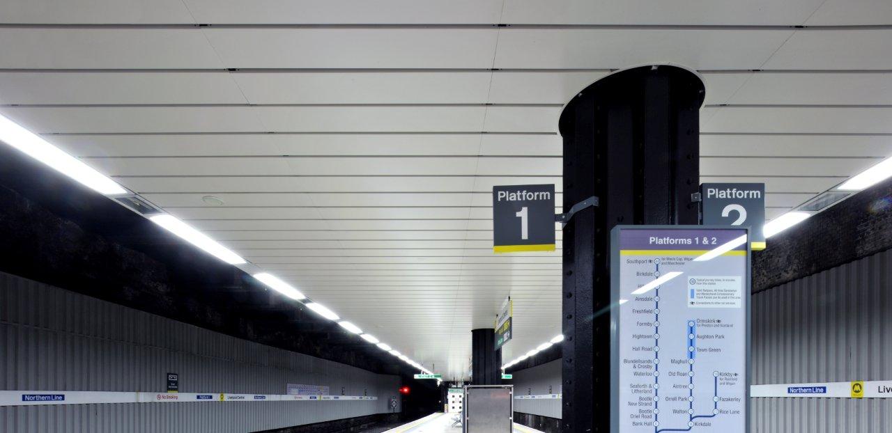 Livc-sml-Am-tra (8).jpg