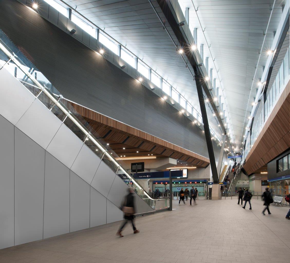 LBS-Lrg-AM-tra (28).jpg