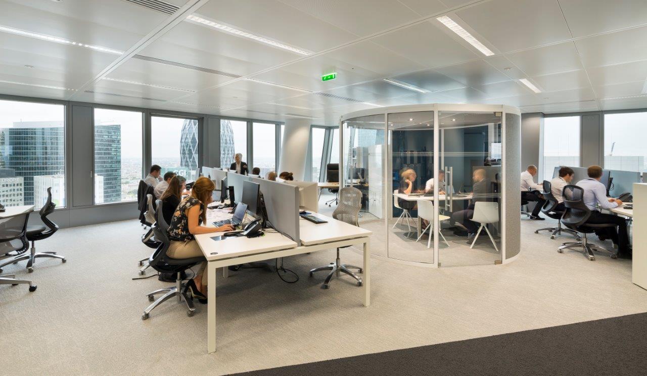 TourMajDel-Lrg-330c-com (1).jpg