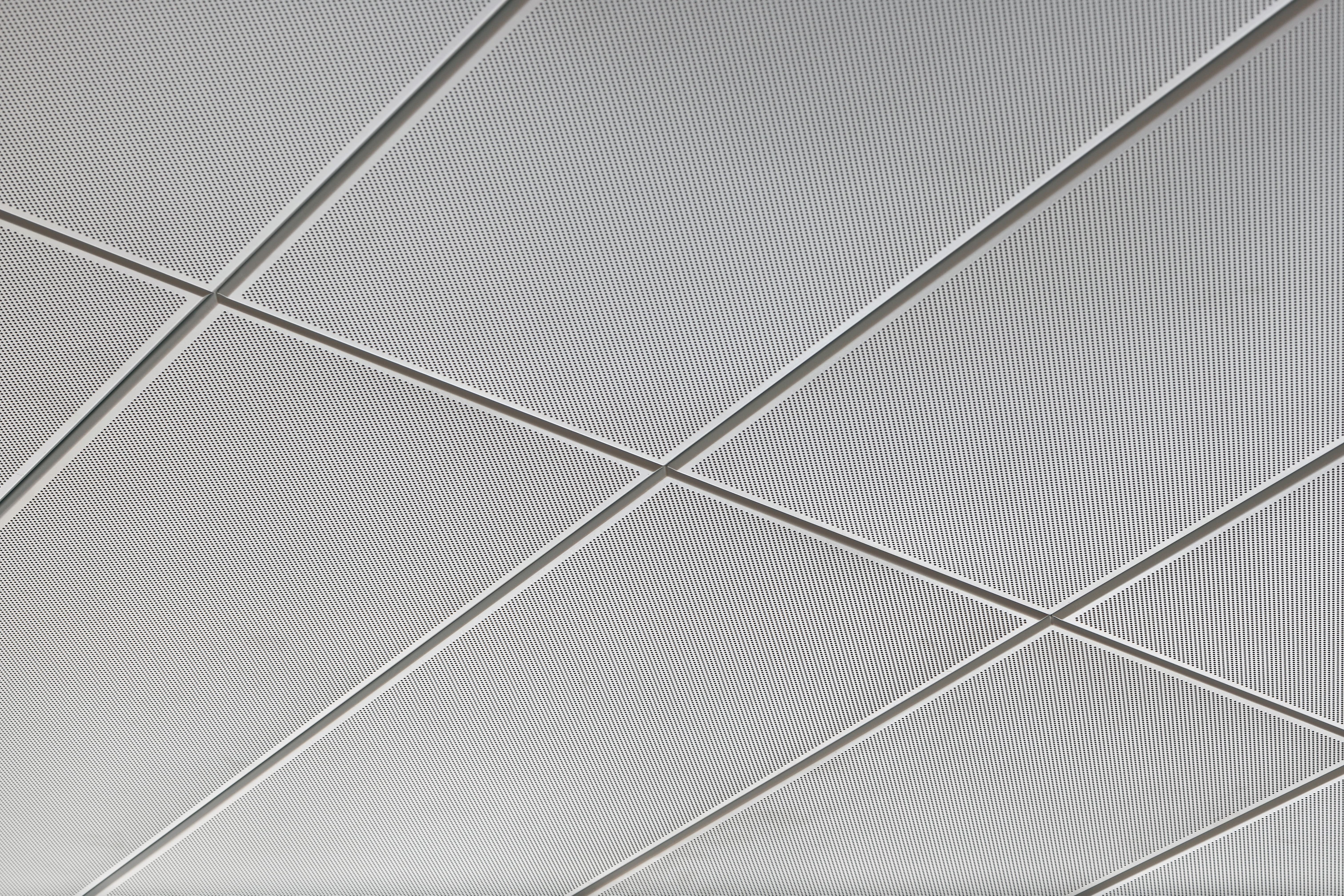 concealed grid ceiling