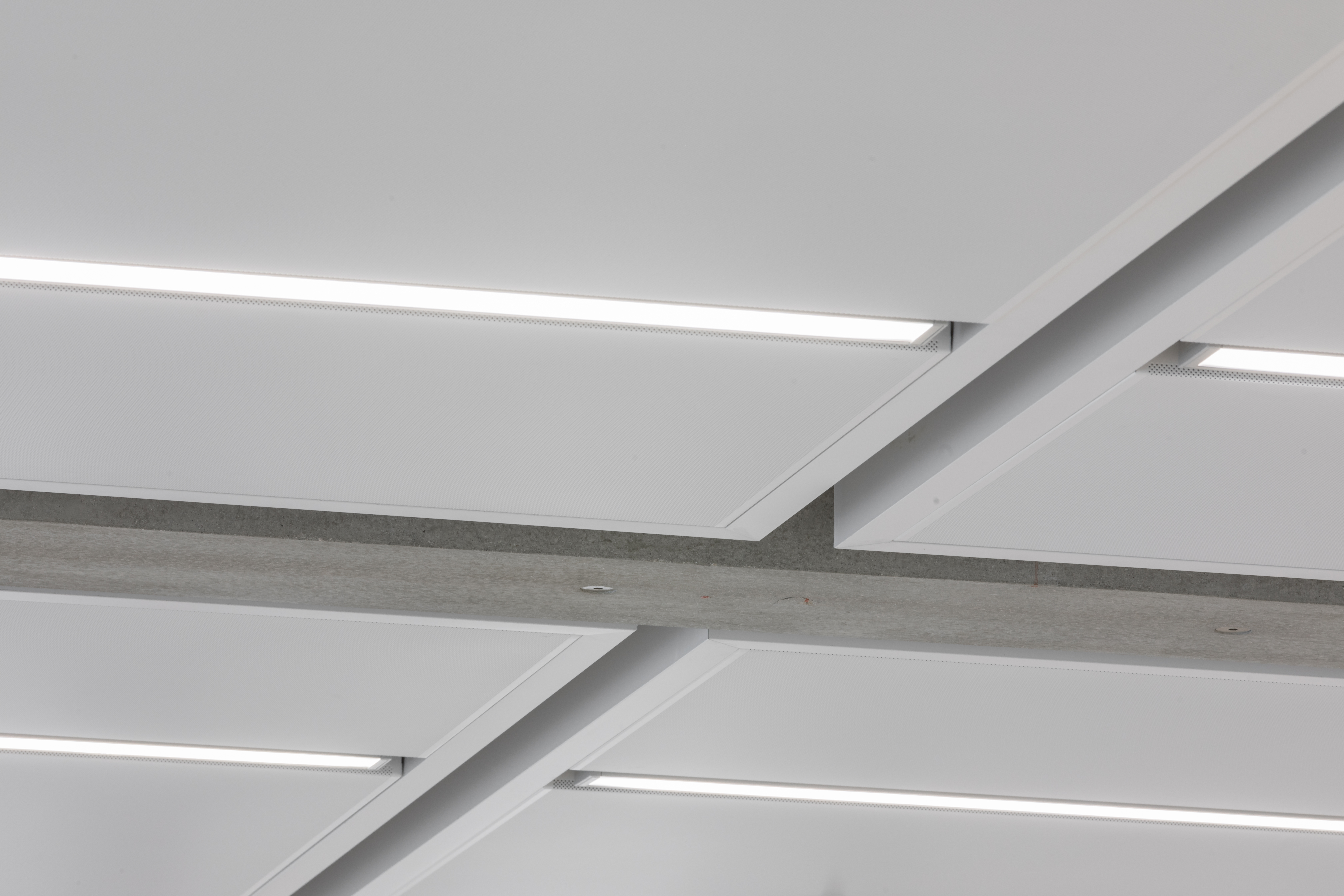 Suspended Ceilings