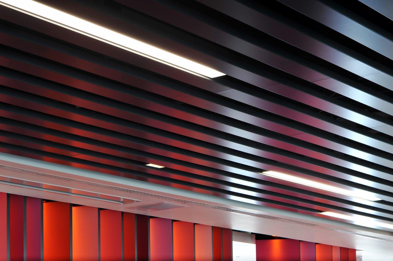 roya-com- 330ls-001 (16).jpg