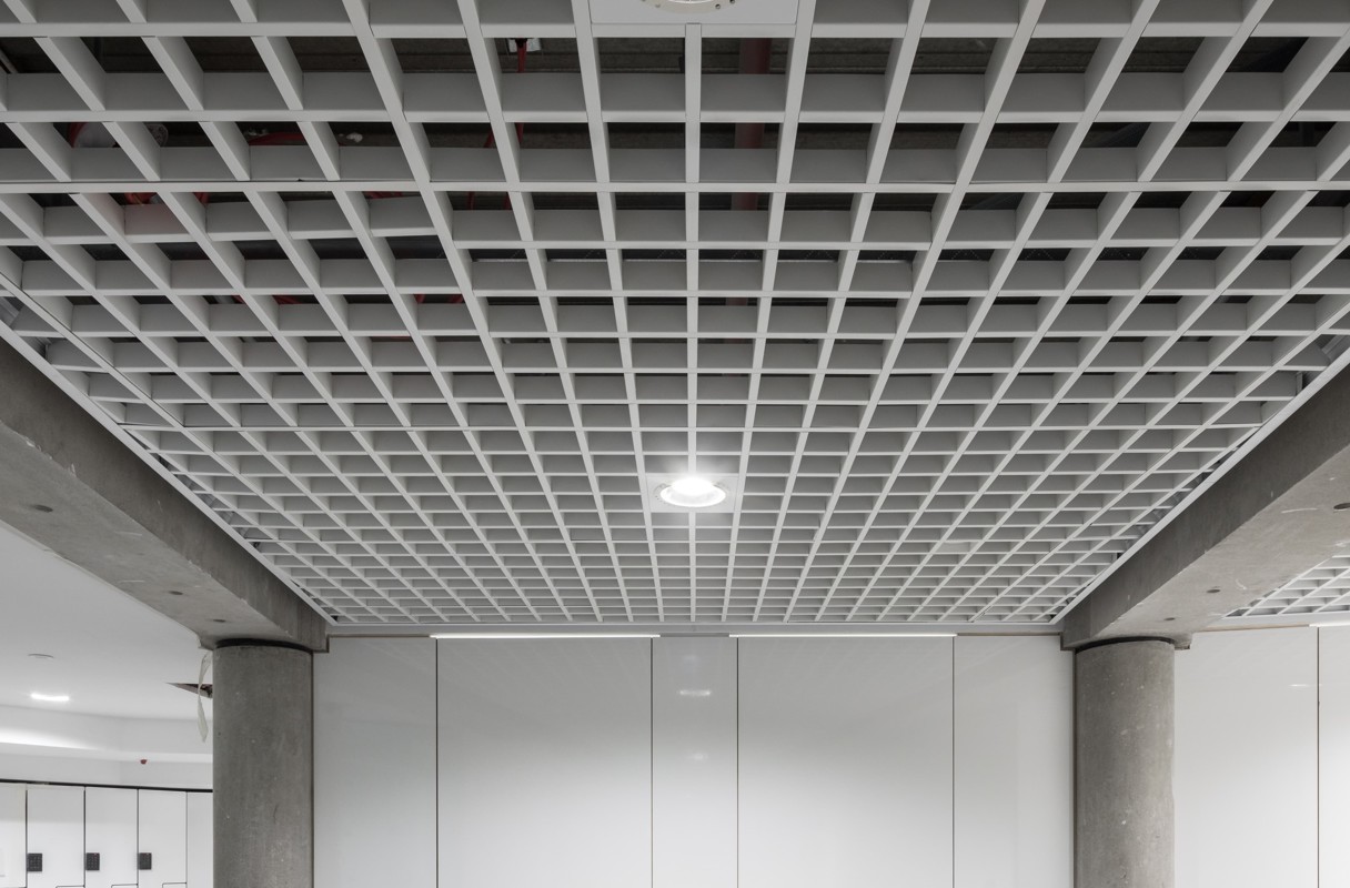 Sas800 Trucell Open Cell Ceiling