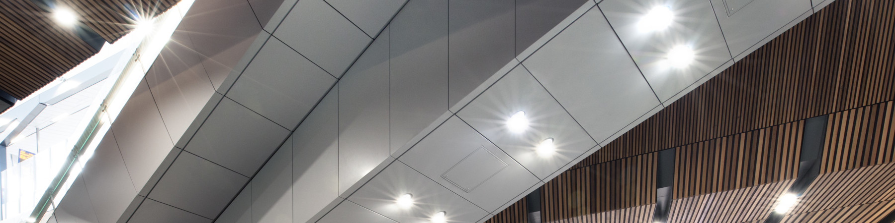 LBS-Lrg-AM-tra (38).jpg (1)