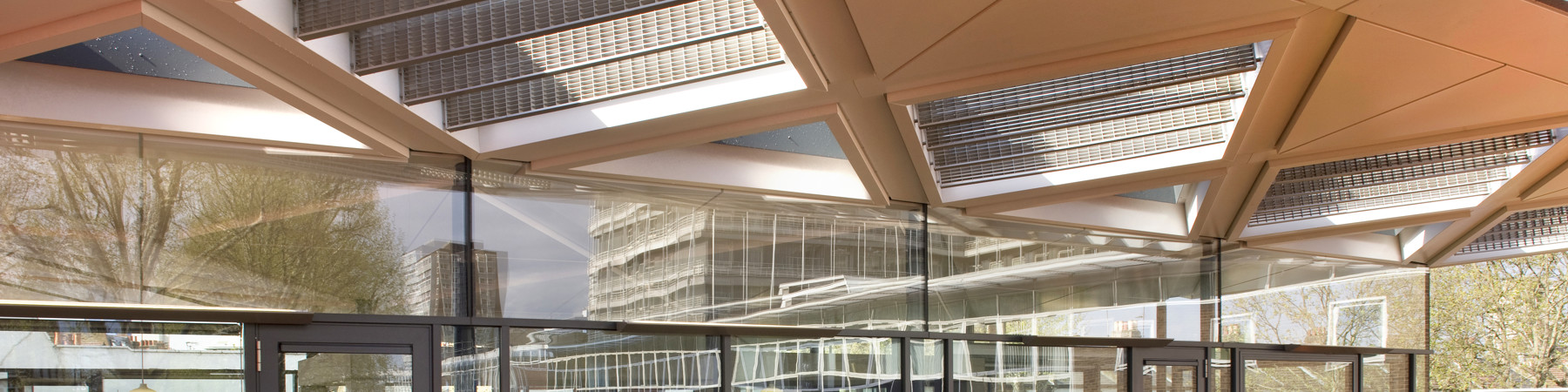 Magg-Lrg-AM-hea (16).jpg