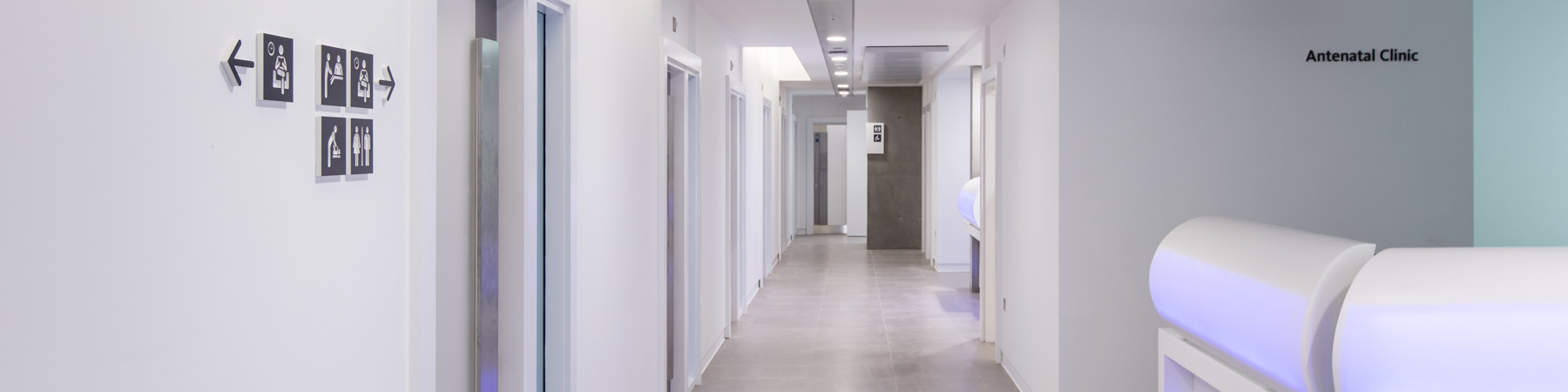 KCH-Lrg-600-hea (1).jpg (1)