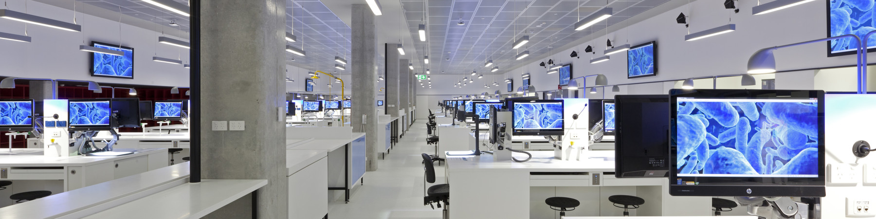 UTS-EDU-150-001.jpg (2)