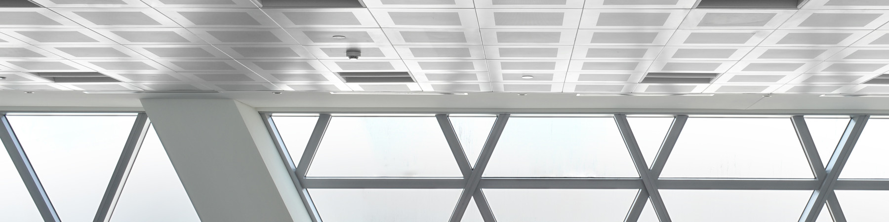 ald-com-150-002-©Philip Vile.jpg