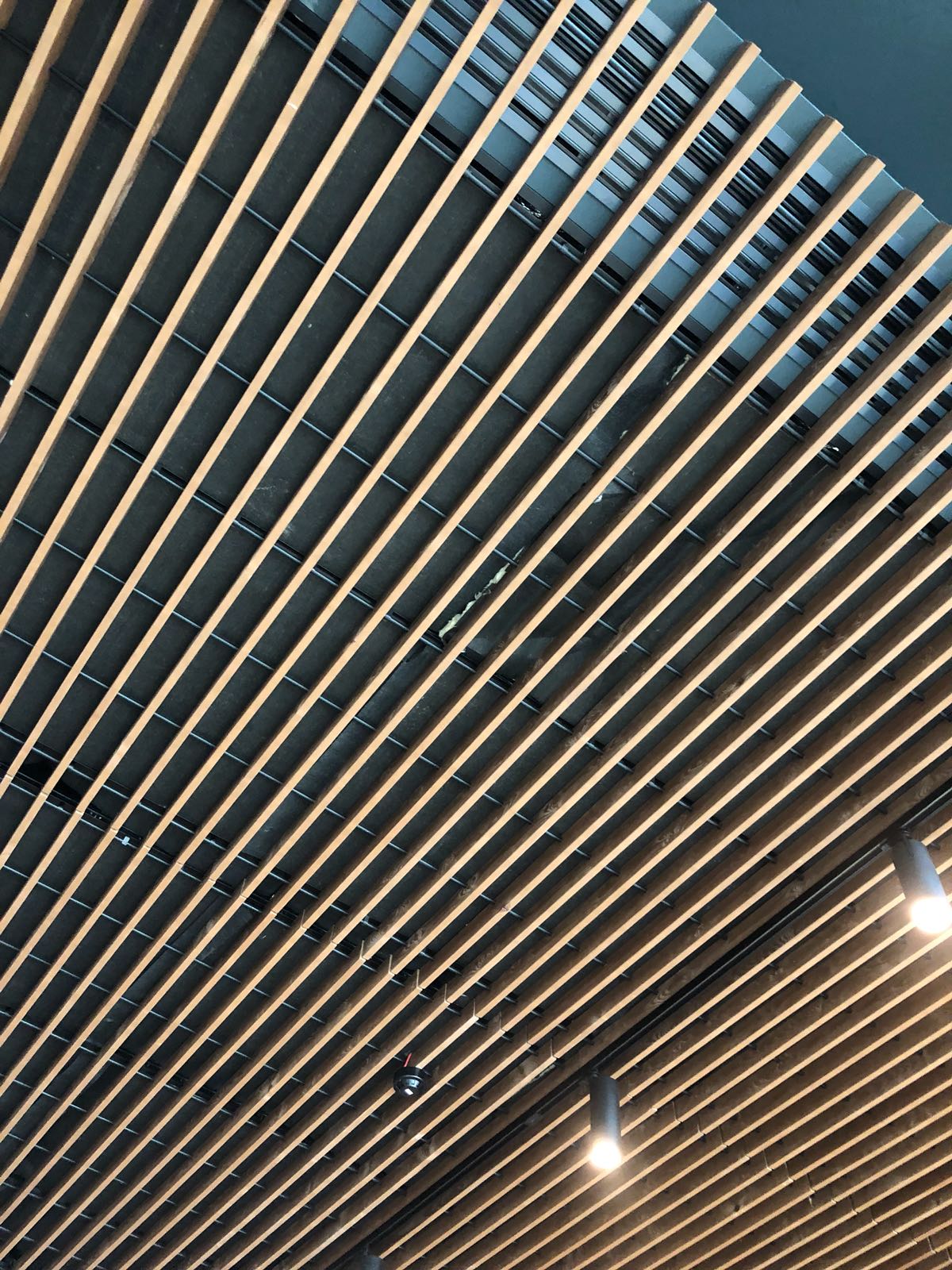 Linear Timber Ceilings