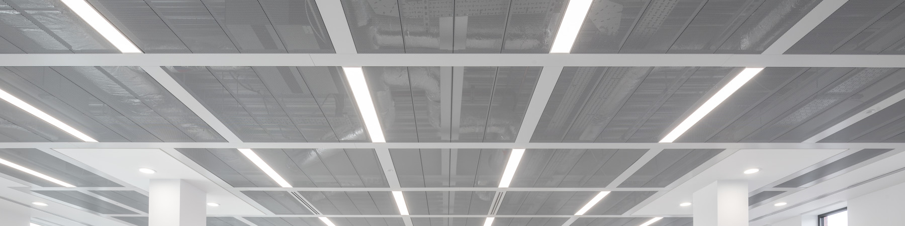 90Fet-Lrg-330-com (4).jpg