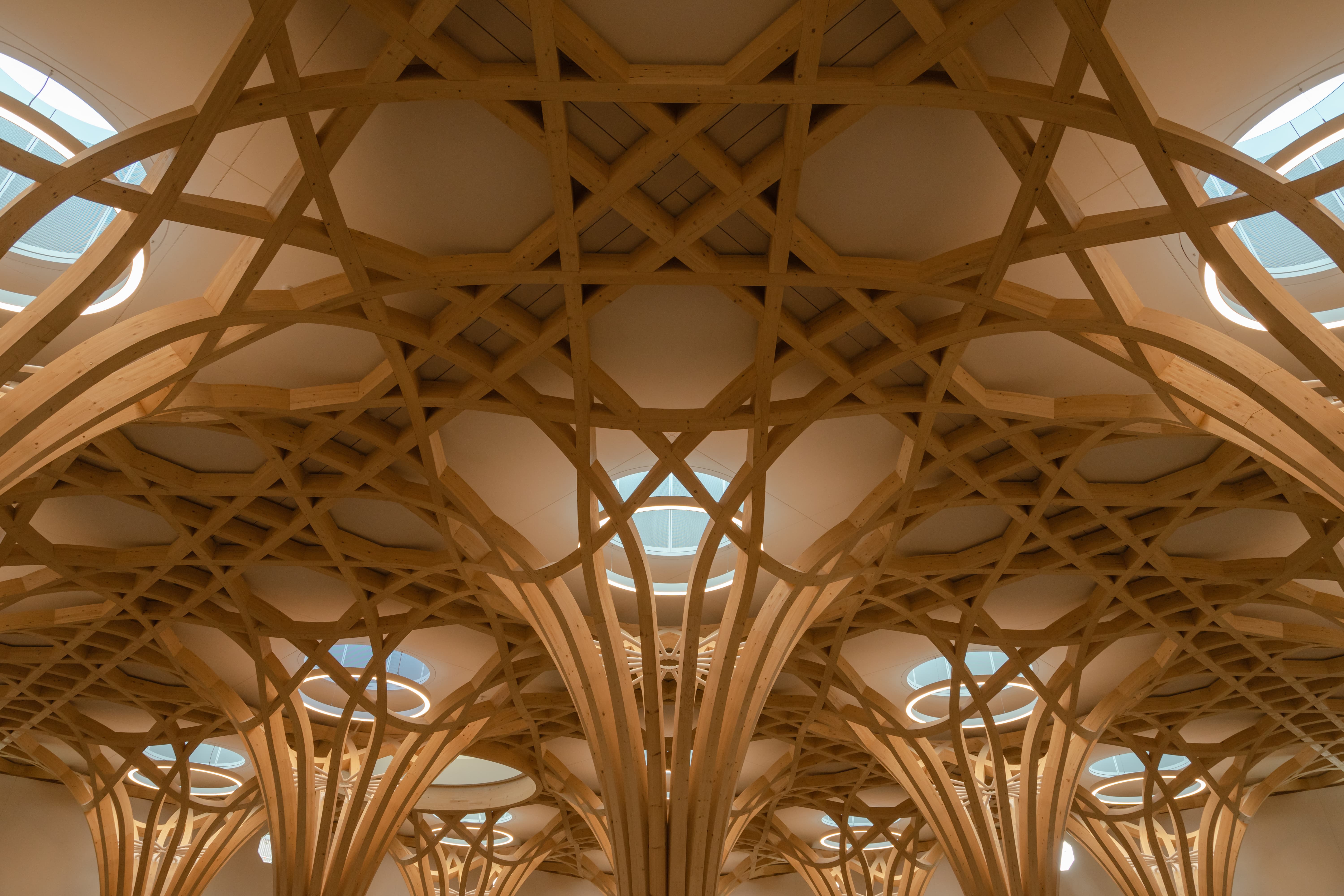 CambMo-Lrg-AM-Pow (1)-min.jpg