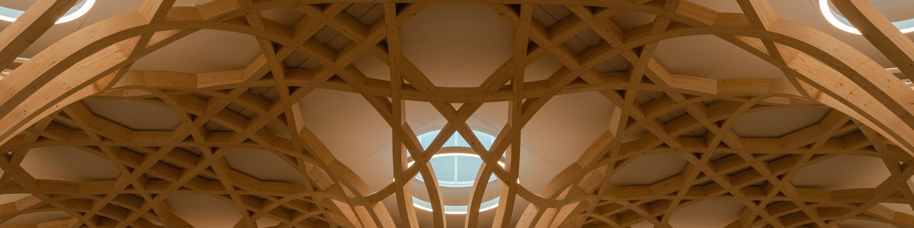 CambMo-Lrg-AM-Pow (1)-min.jpg