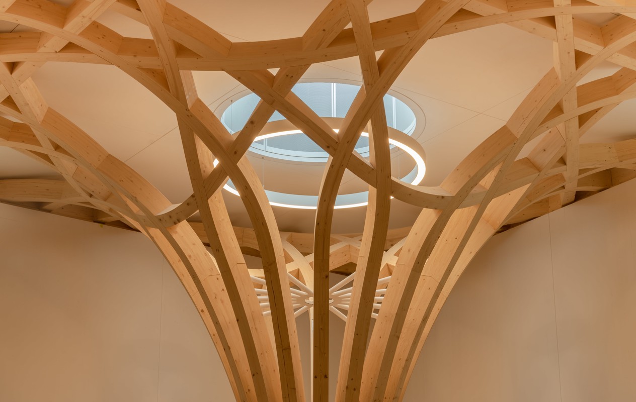 CambMo-Lrg-AM-Pow (4)-min.jpg