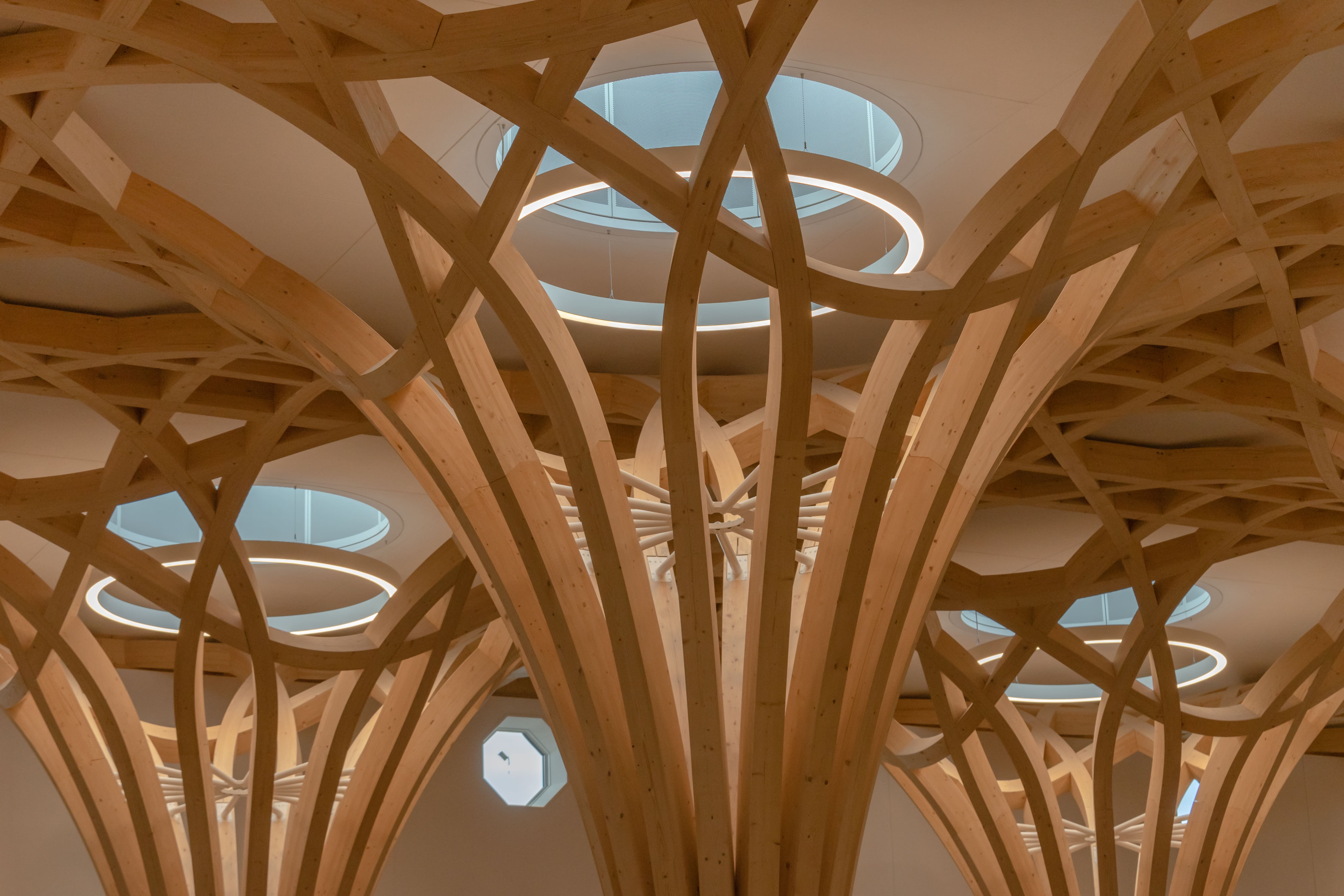 CambMo-Lrg-AM-Pow (8)-min.jpg