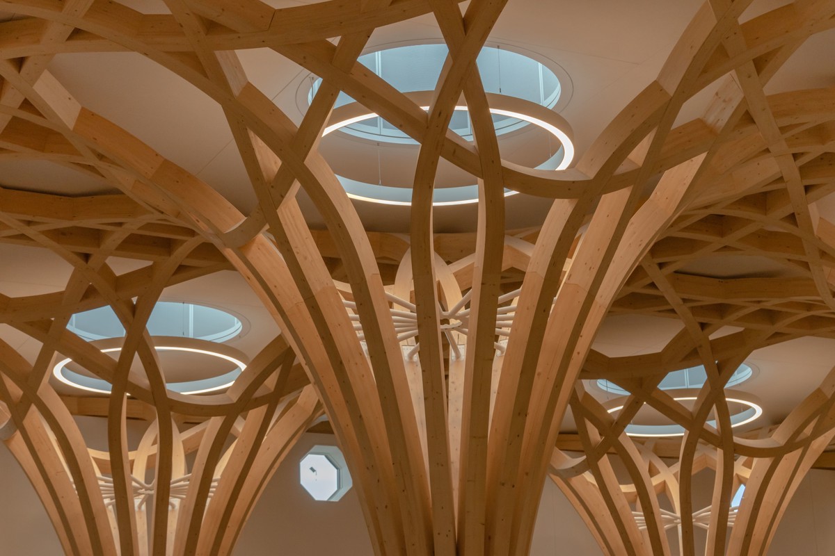 CambMo-Lrg-AM-Pow (8)-min.jpg