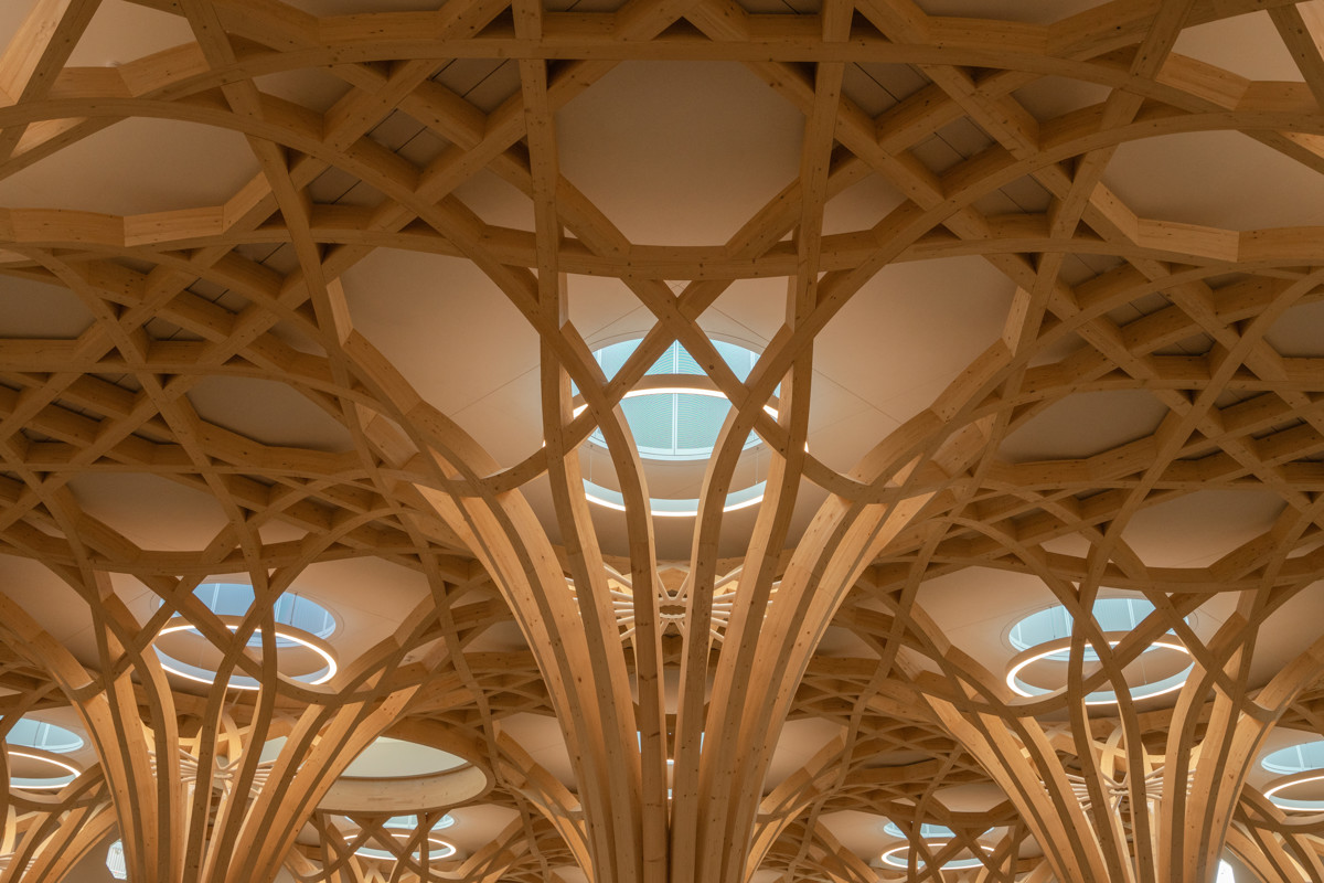 CambMo-Lrg-AM-Pow (2).jpg