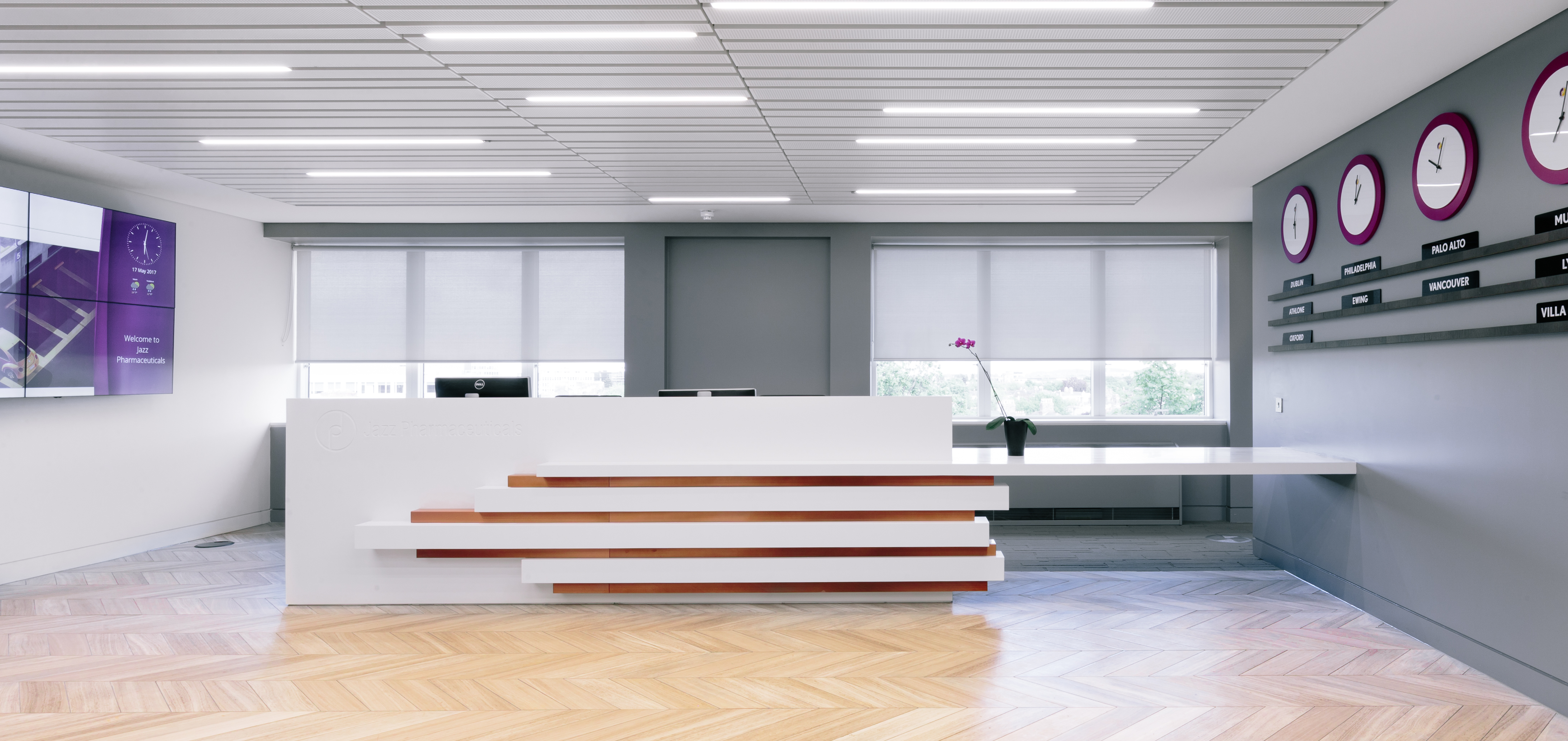 Jazz-Lrg-720-com (2).jpg