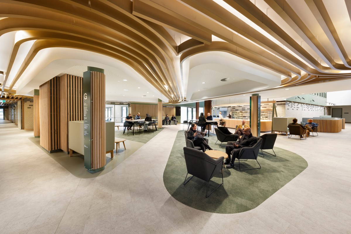 Djer 500 Com Lrg (5)