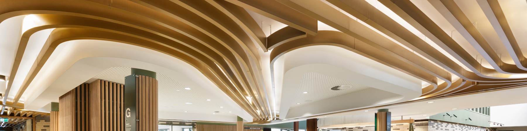 Djer 500 Com Lrg (5)